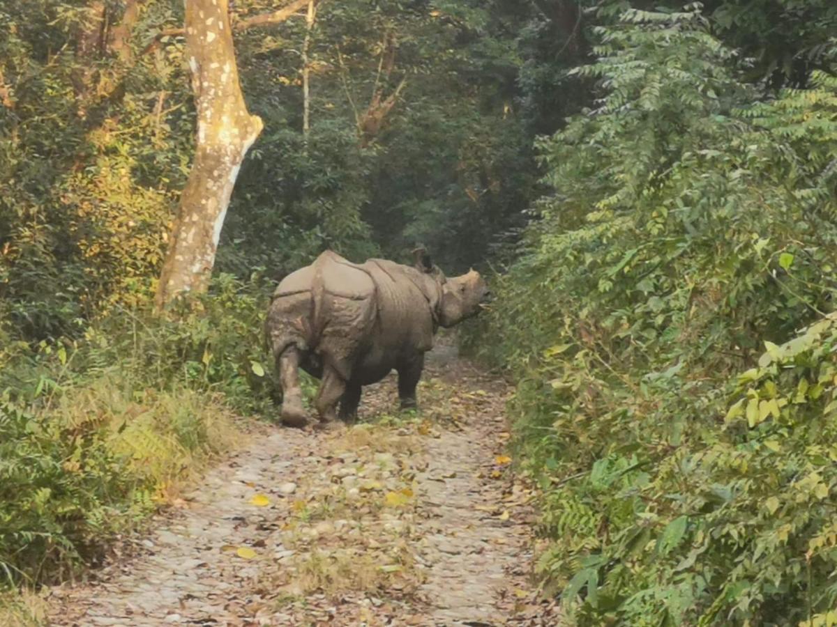 Chital Lodge Chitwan Εξωτερικό φωτογραφία